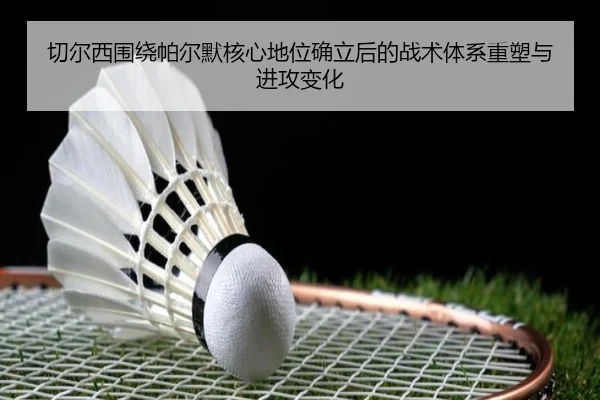 qie-er-xi-wei-rao-pa-er-mo-he-xin-di-wei-que-li-hou-de-zhan-shu-ti-xi-zhong-su-yu-jin-gong-bian-hua-2-194.jpg